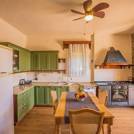 Villa Kayakoey'de Oezel Havuzlu Muhafazakar Kaya