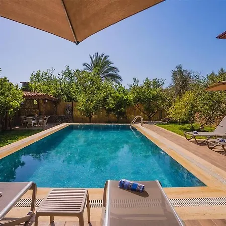 Villa Kayakoey'de Oezel Havuzlu Muhafazakar Kaya *